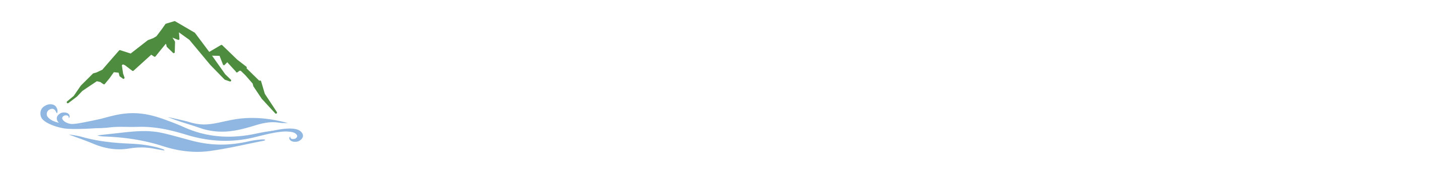 South Asian Journal